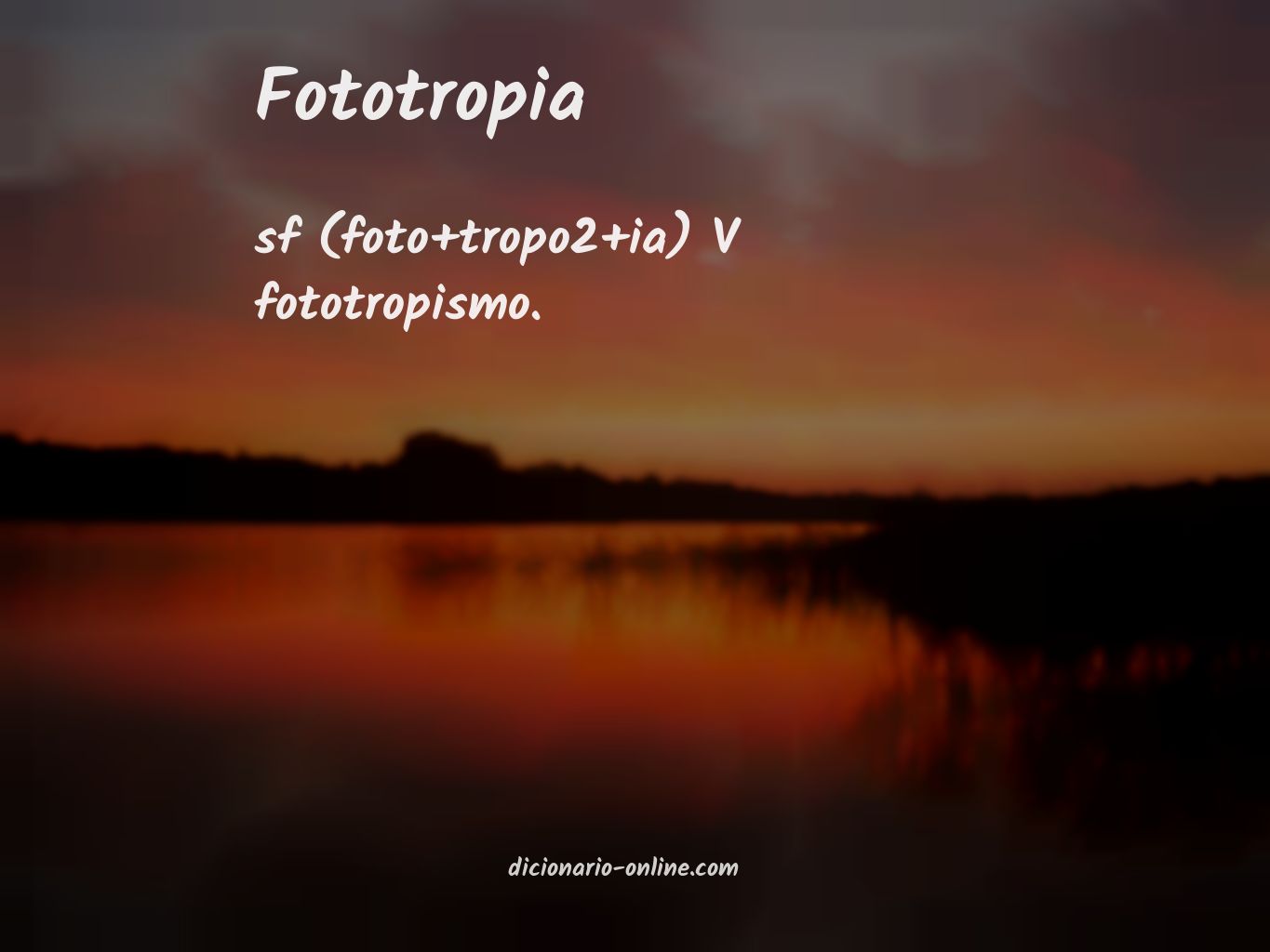 Significado de fototropia