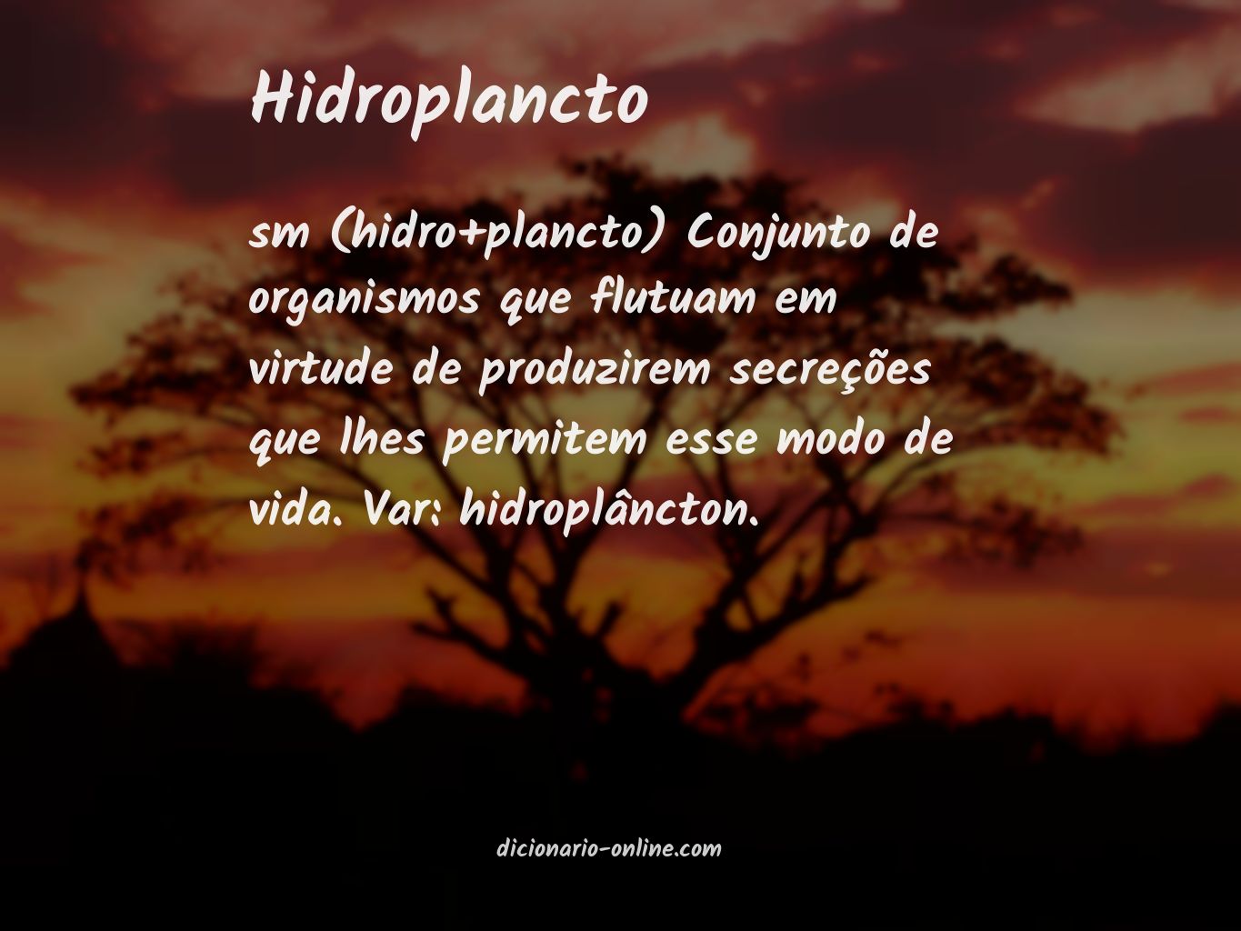 Significado de hidroplancto