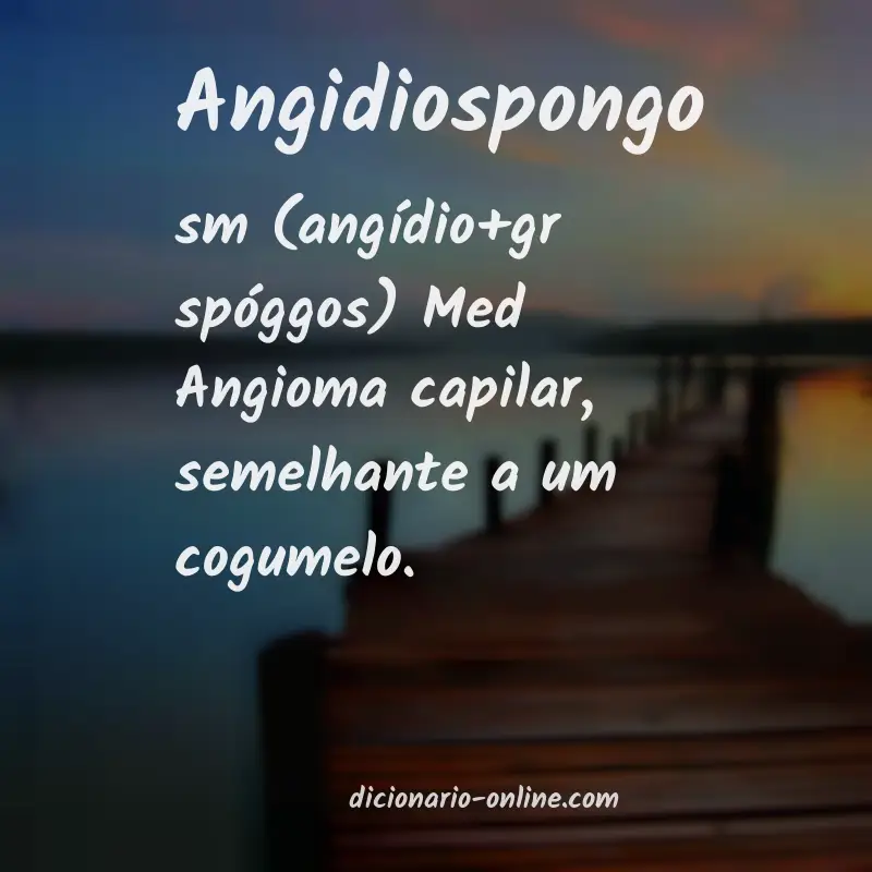 Significado de angidiospongo