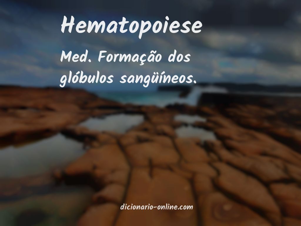 Significado de hematopoiese