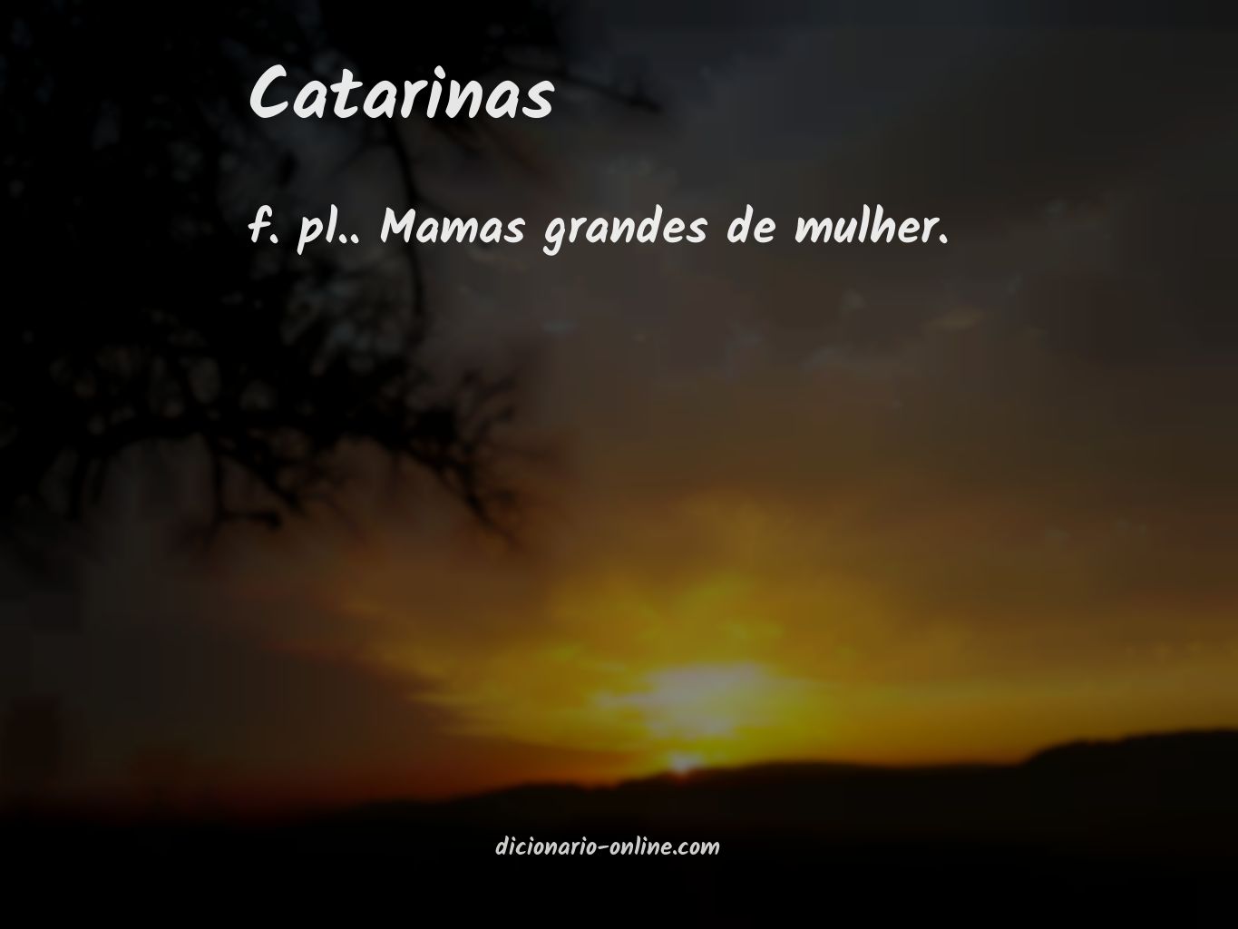 Significado de catarinas