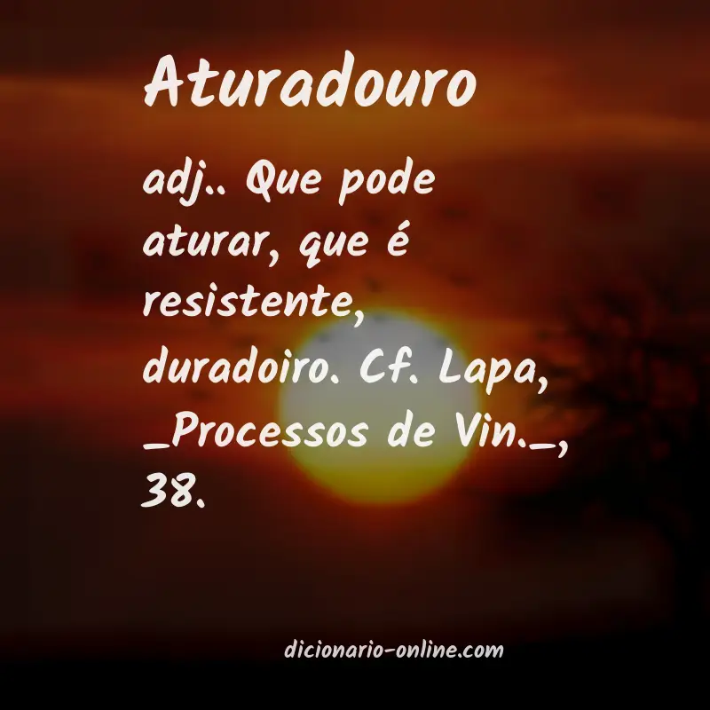 Significado de aturadouro