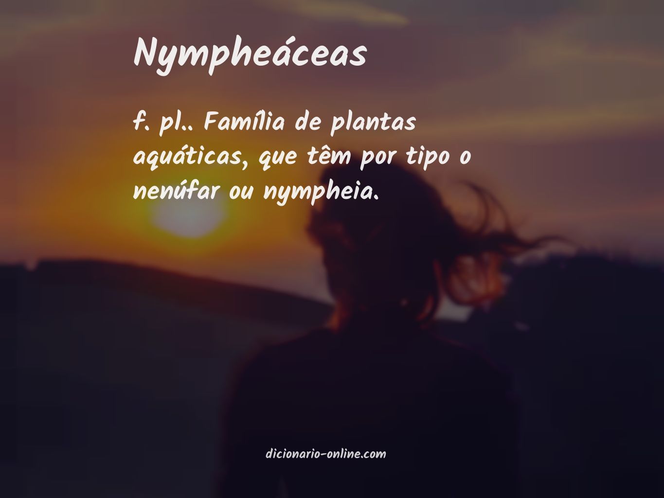 Significado de nympheáceas