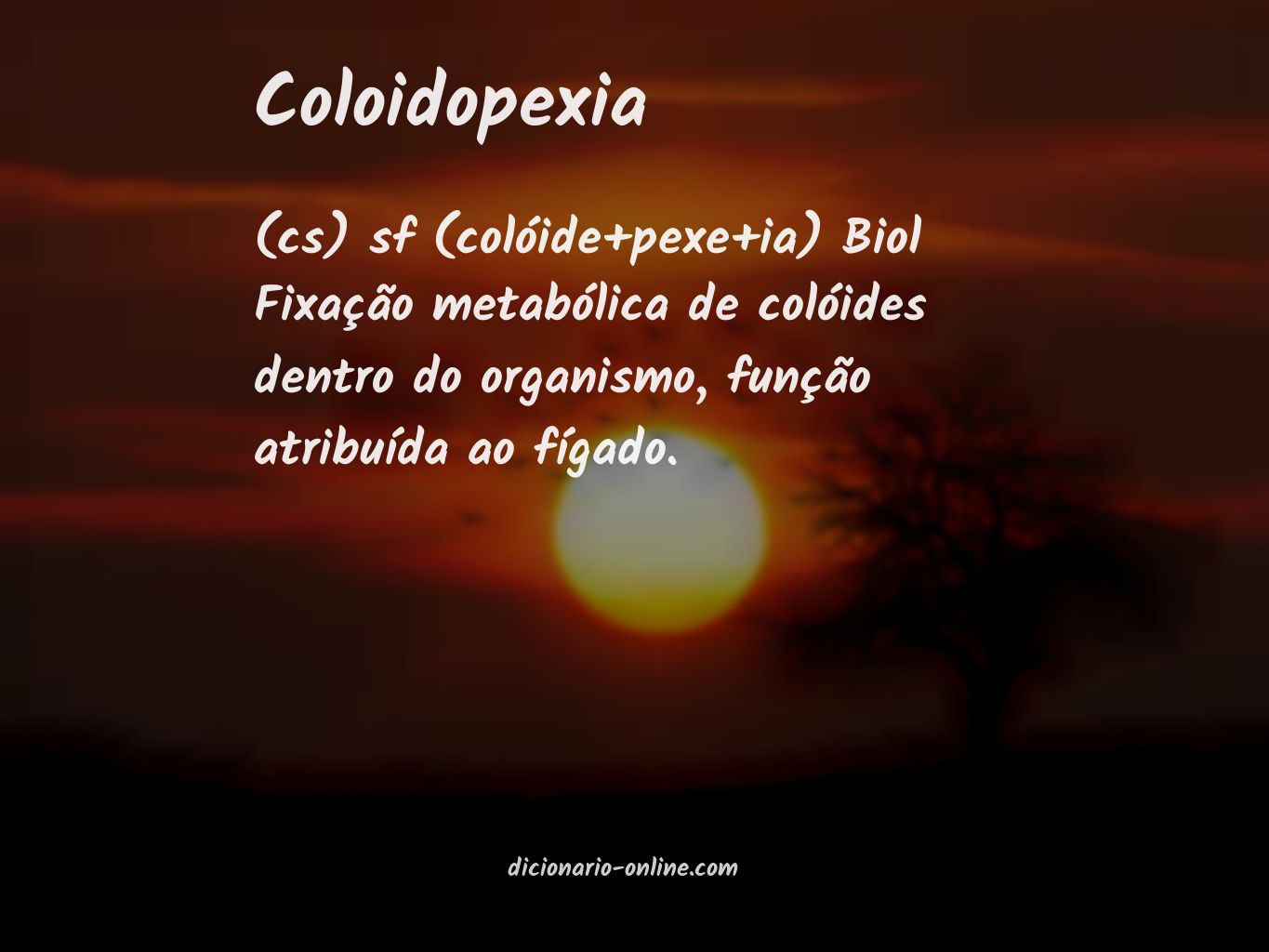 Significado de coloidopexia