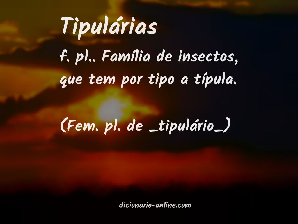 Significado de tipulárias