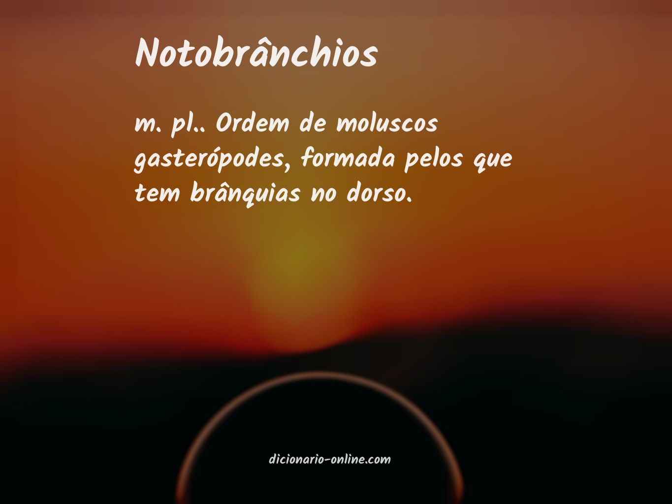 Significado de notobrânchios