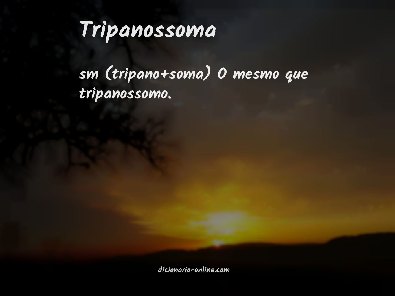 Significado de tripanossoma