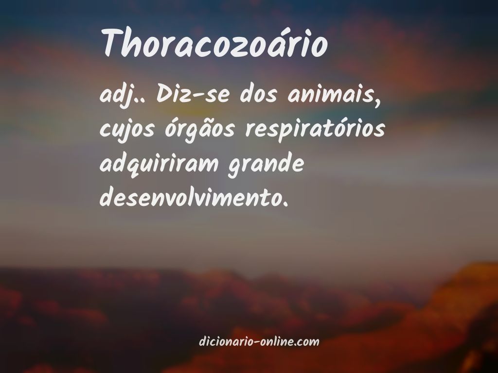 Significado de thoracozoário