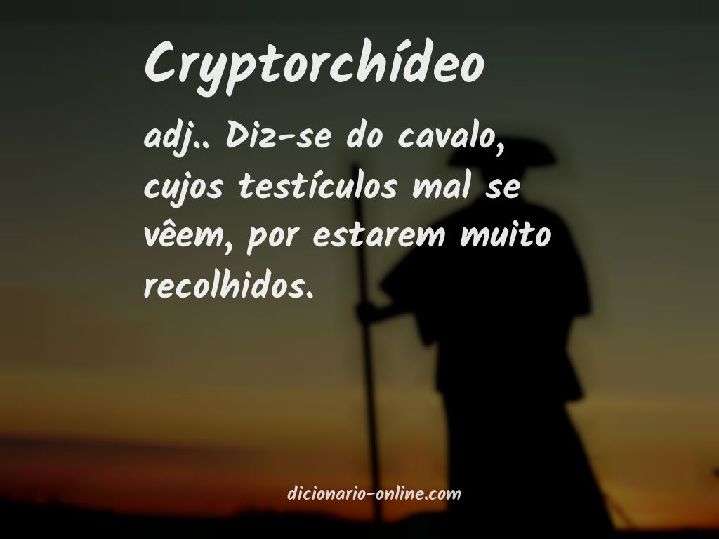 Significado de cryptorchídeo