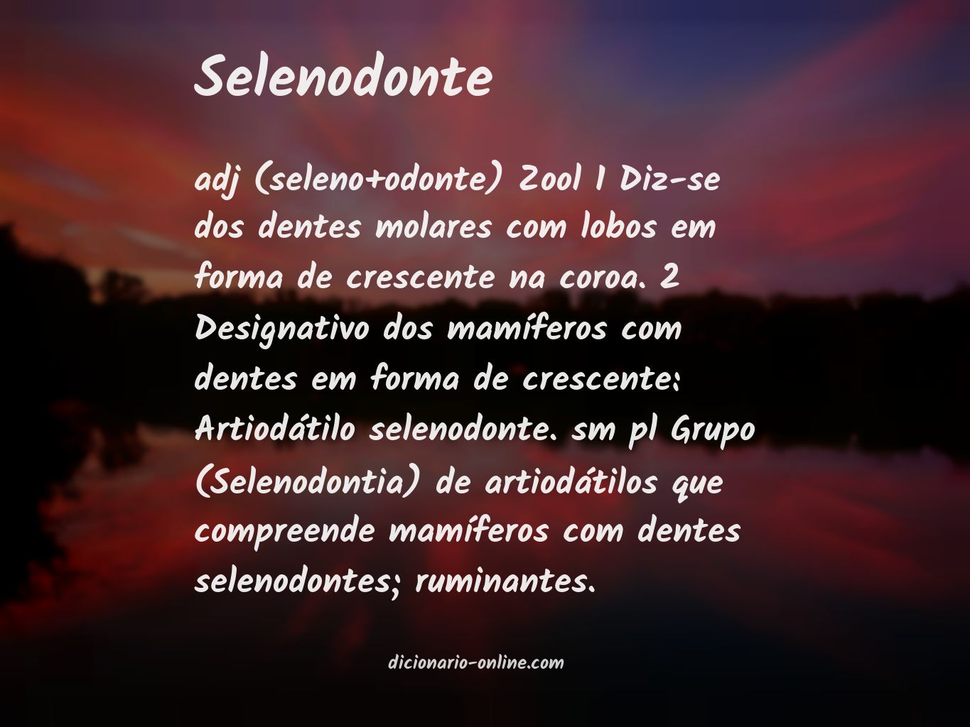 Significado de selenodonte