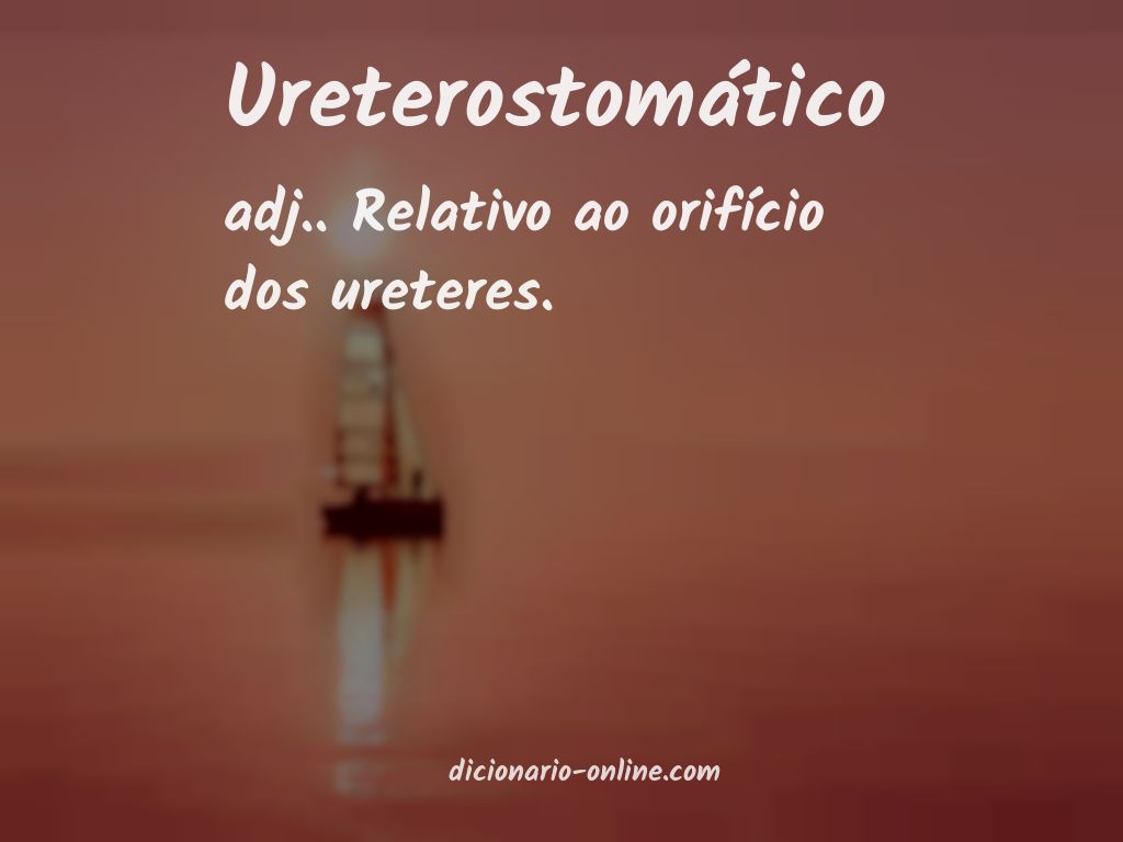 Significado de ureterostomático