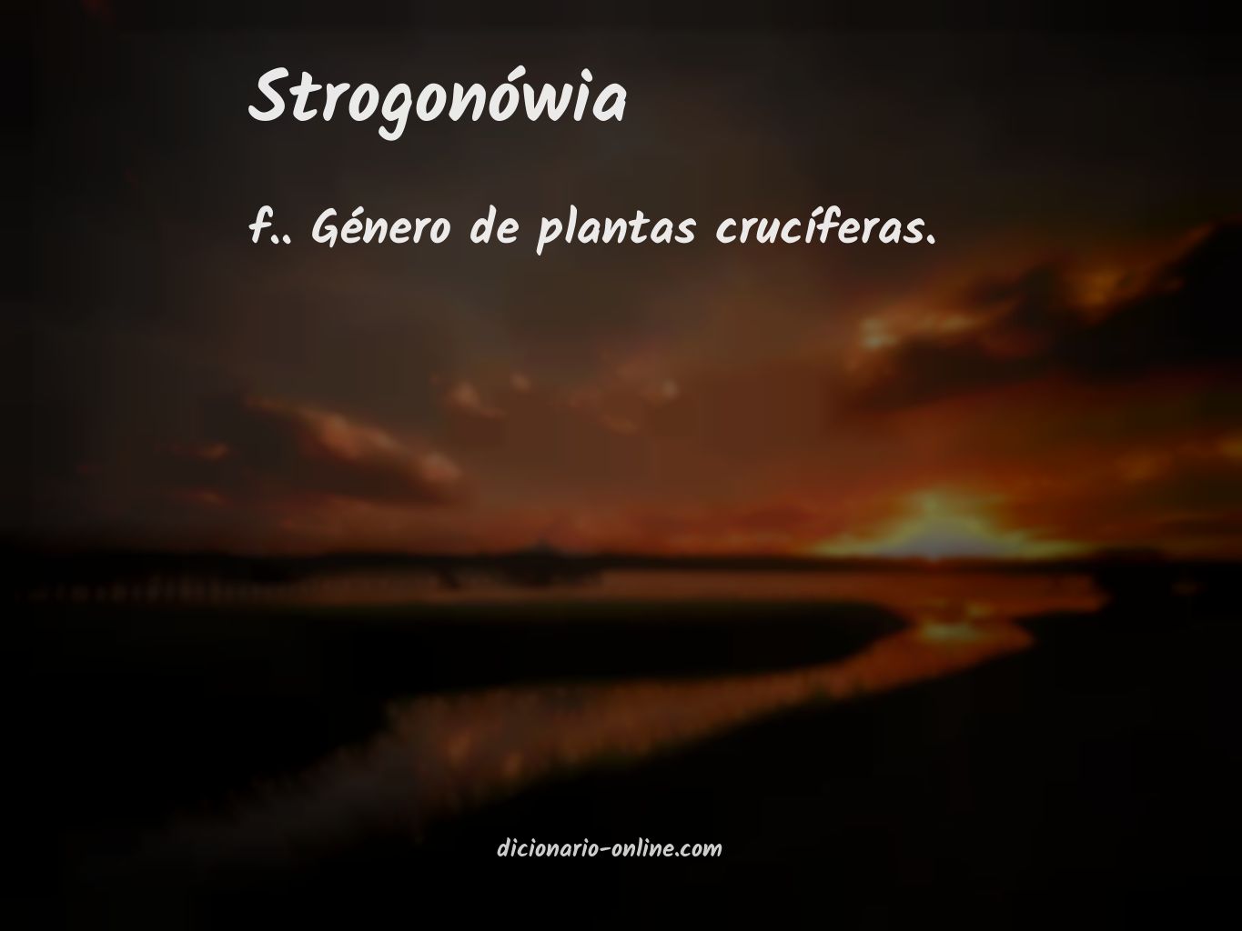 Significado de strogonówia