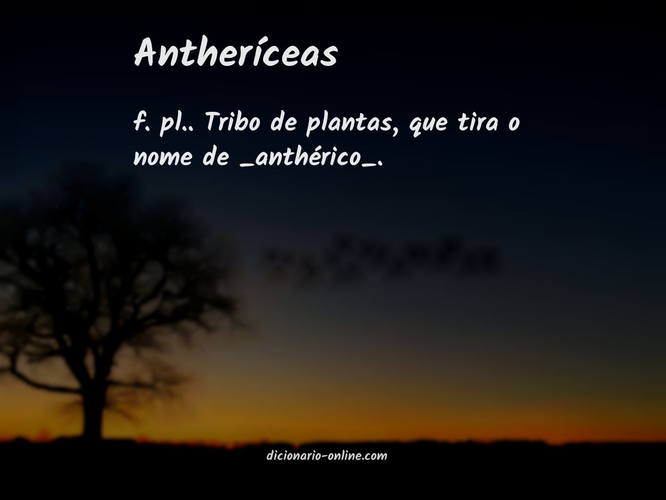 Significado de antheríceas