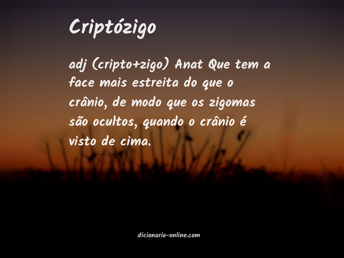 Significado de criptózigo