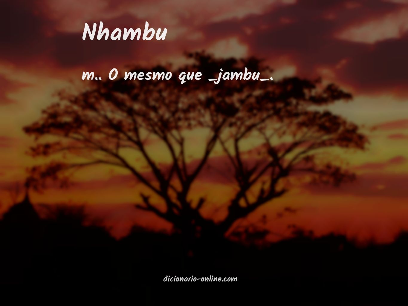 Significado de nhambu