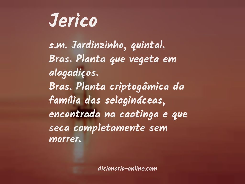 Significado de jerico