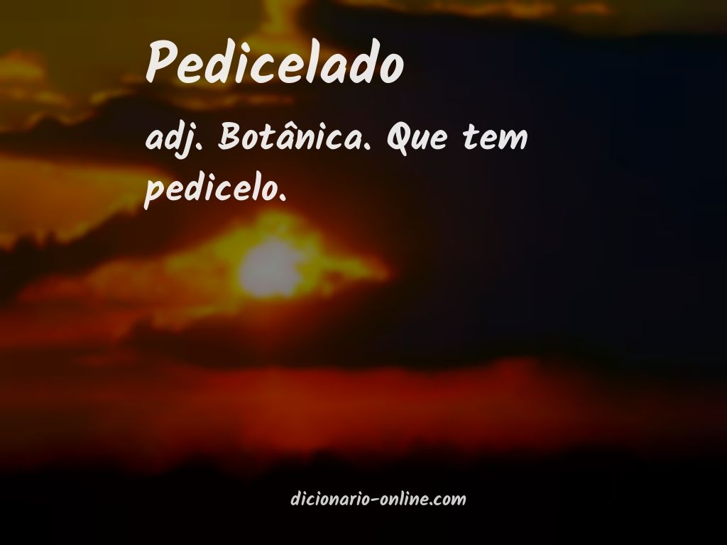 Significado de pedicelado