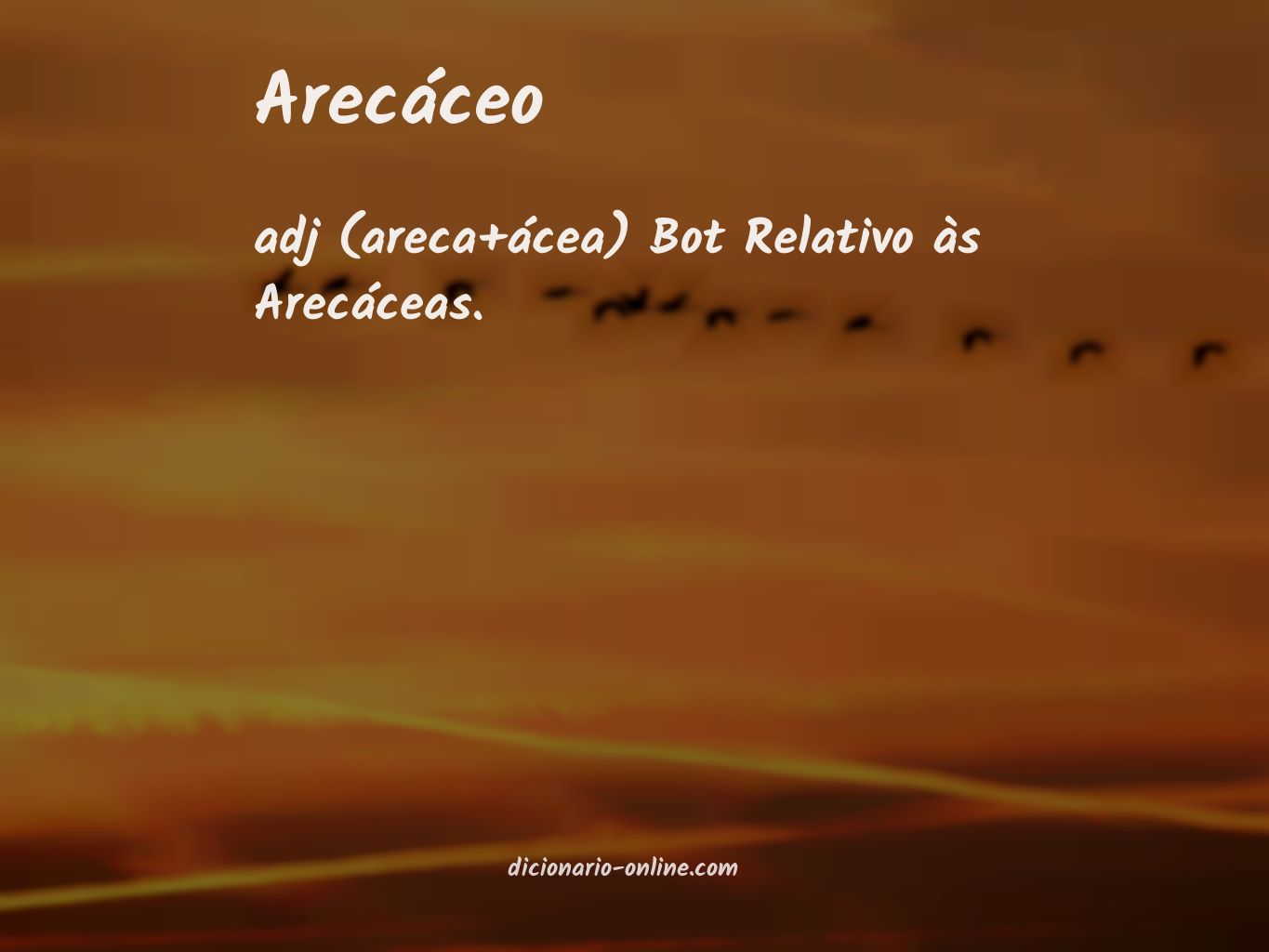 Significado de arecáceo