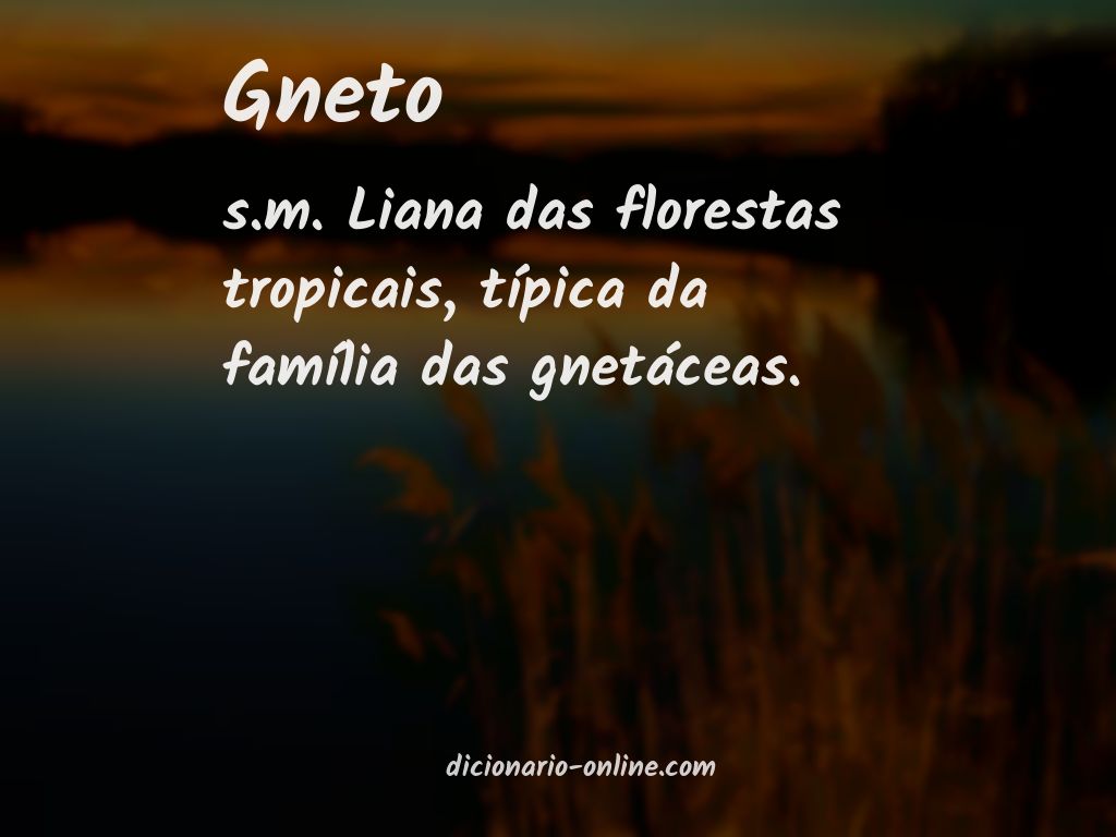 Significado de gneto