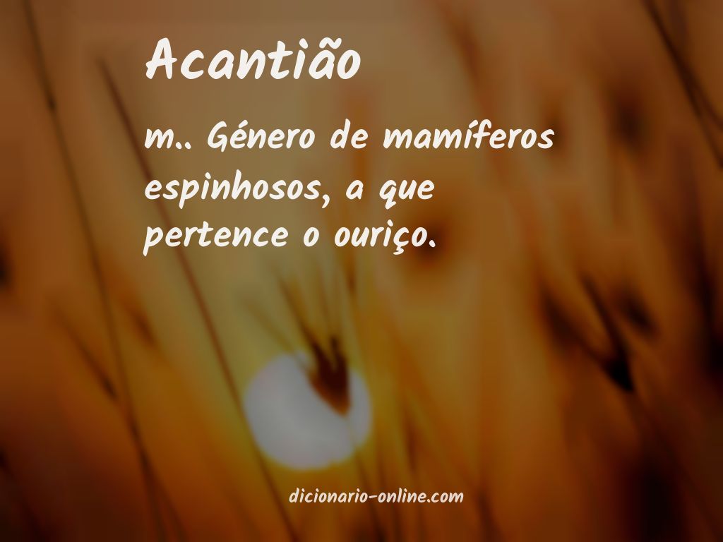 Significado de acantião