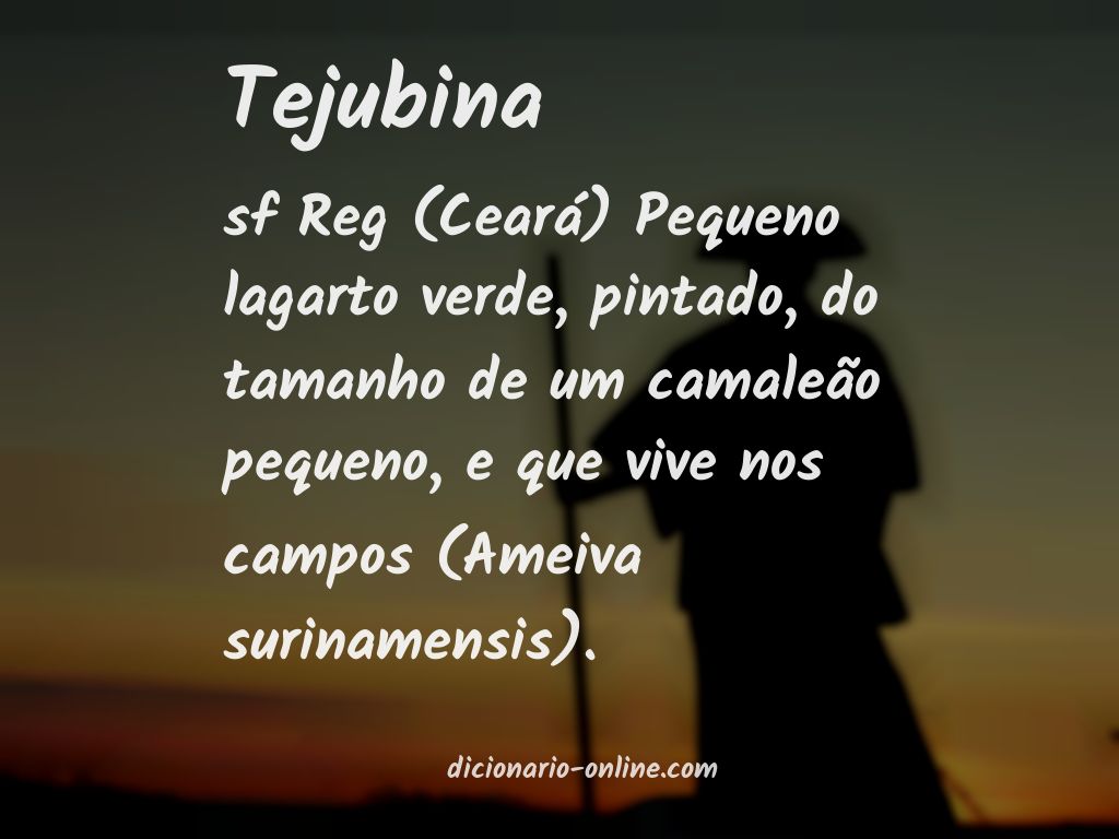 Significado de tejubina