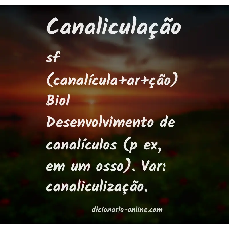 Significado de canaliculação