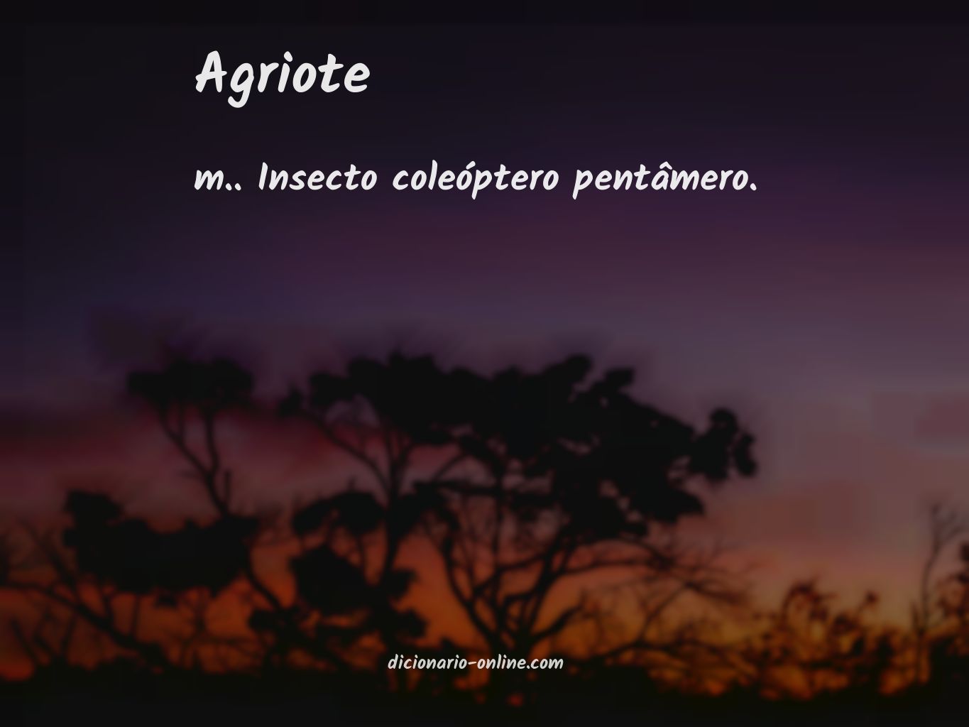 Significado de agriote