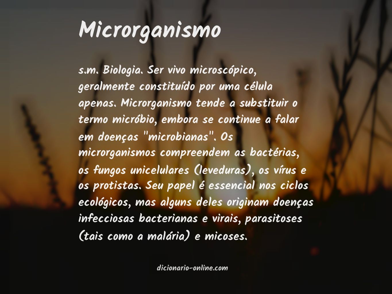 Significado de microrganismo