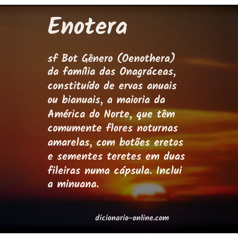 Significado de enotera