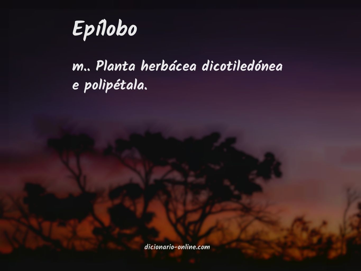 Significado de epílobo