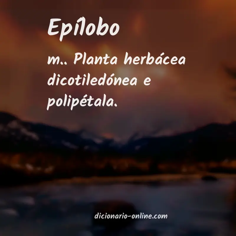 Significado de epílobo