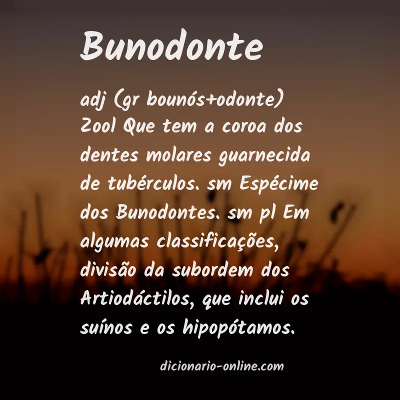 Significado de bunodonte