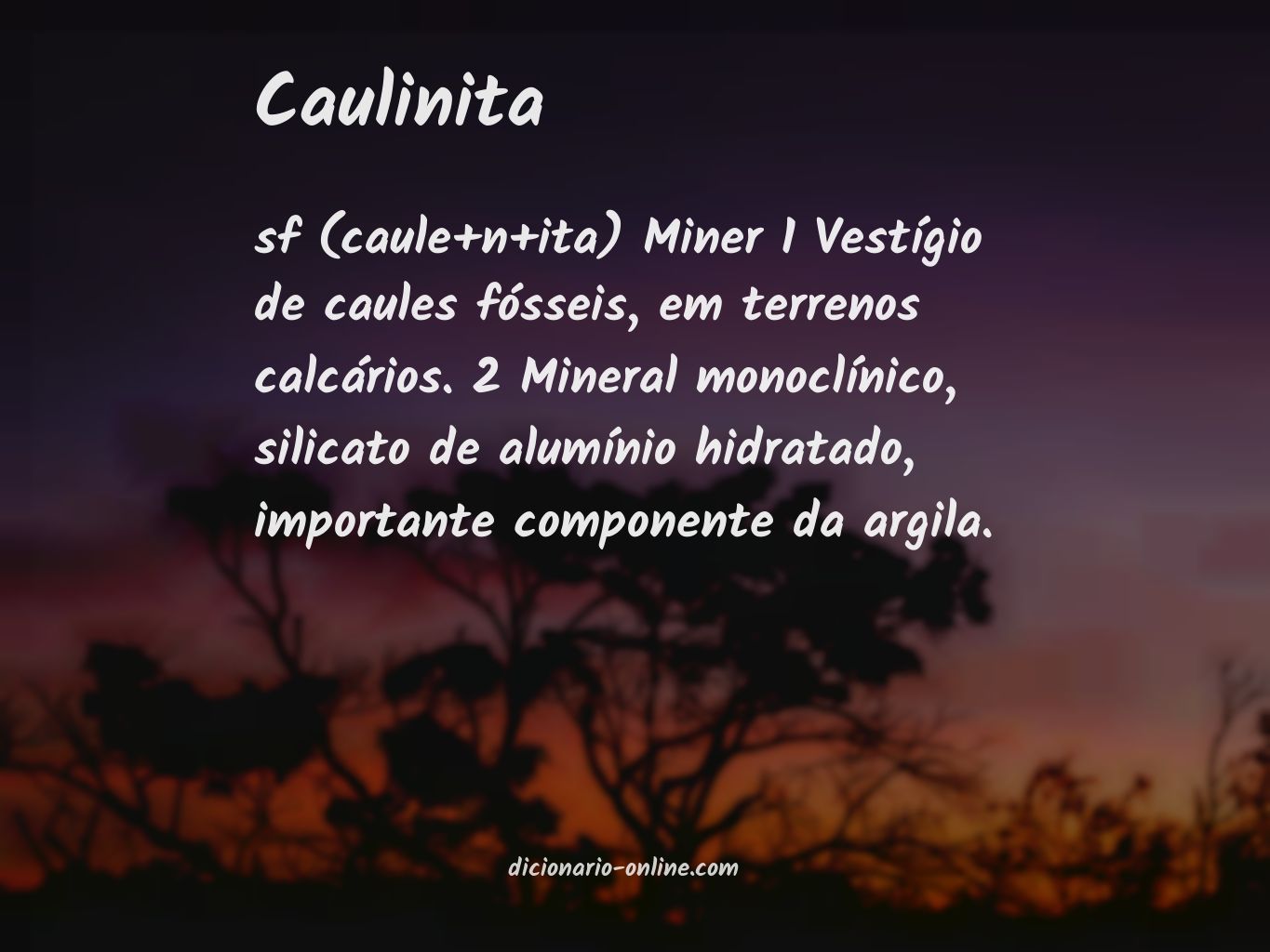 Significado de caulinita