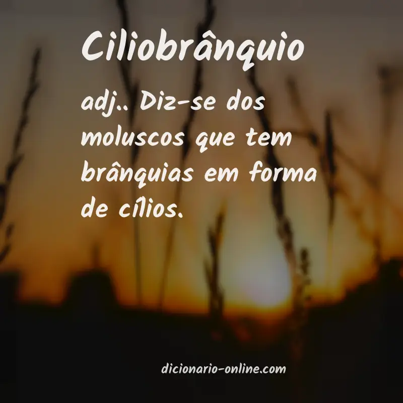 Significado de ciliobrânquio