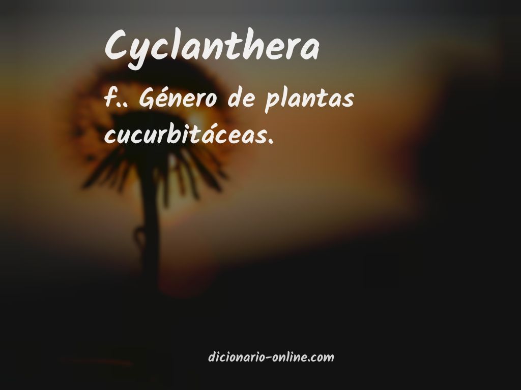 Significado de cyclanthera