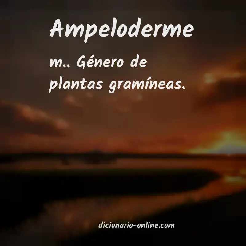 Significado de ampeloderme