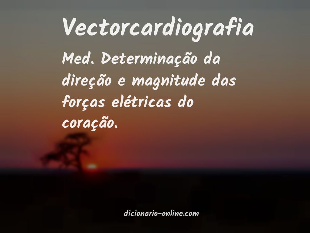 Significado de vectorcardiografia