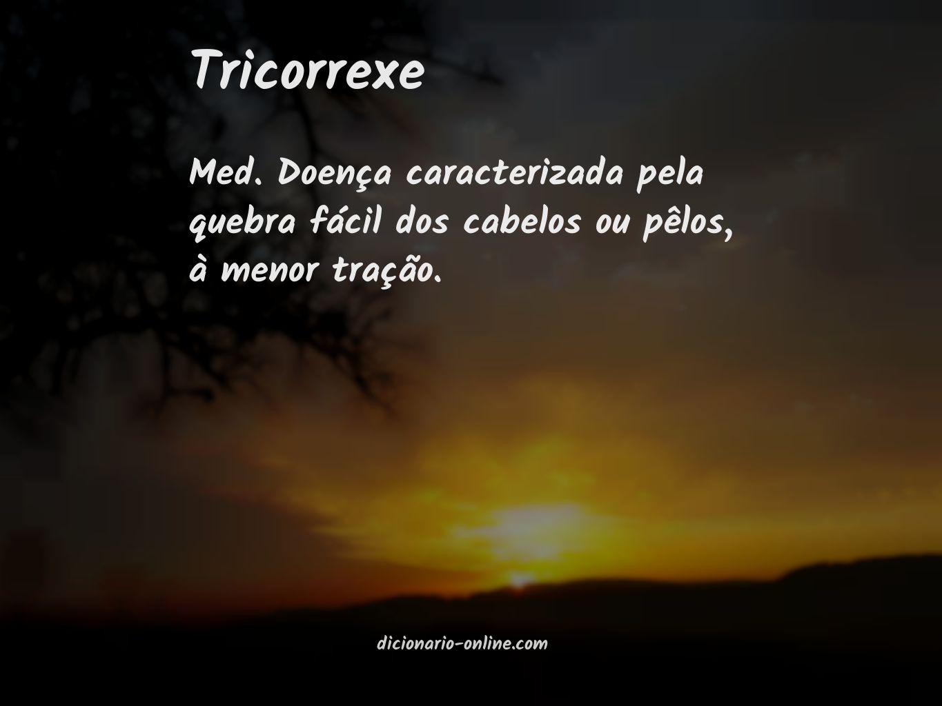 Significado de tricorrexe