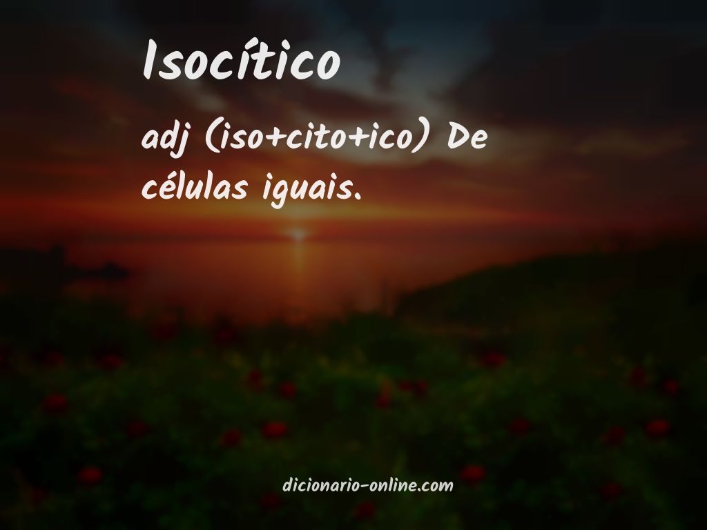 Significado de isocítico