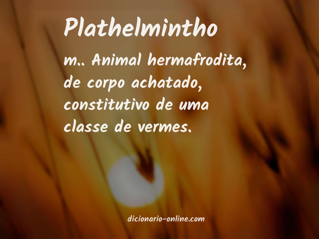 Significado de plathelmintho