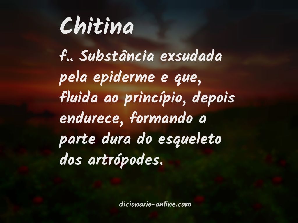 Significado de chitina