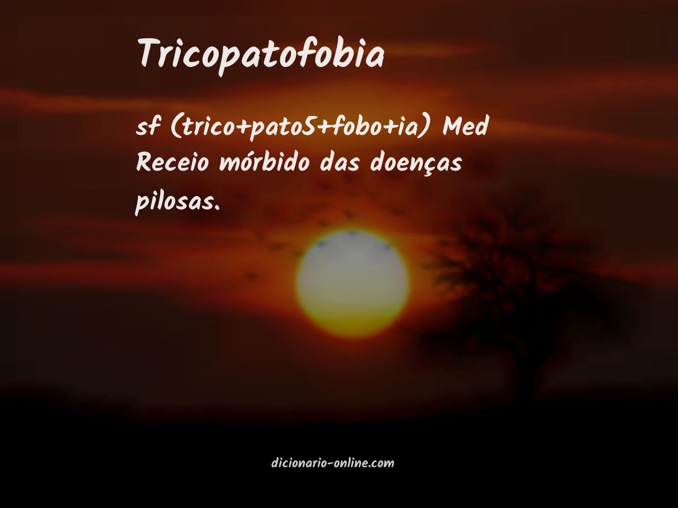 Significado de tricopatofobia