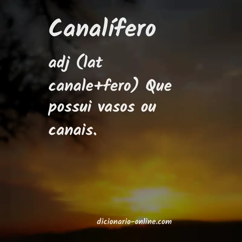 Significado de canalífero