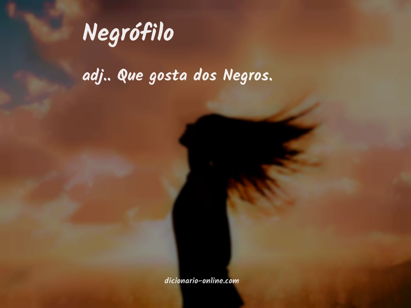 Significado de negrófilo