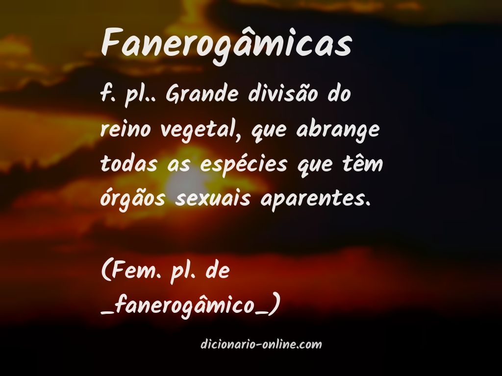 Significado de fanerogâmicas