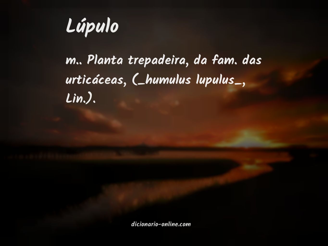 Significado de lúpulo