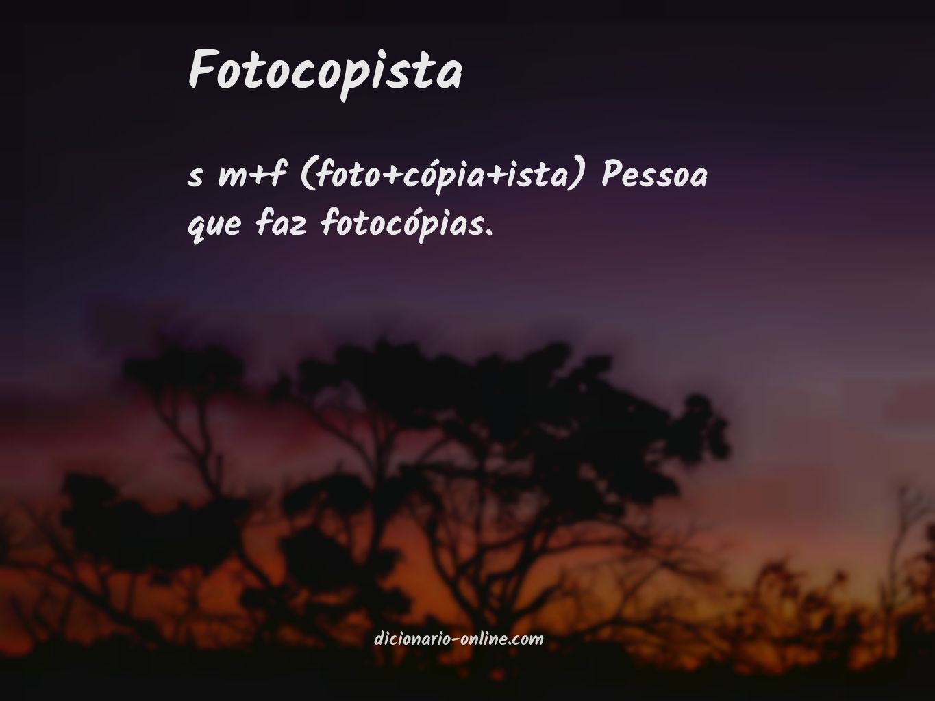 Significado de fotocopista