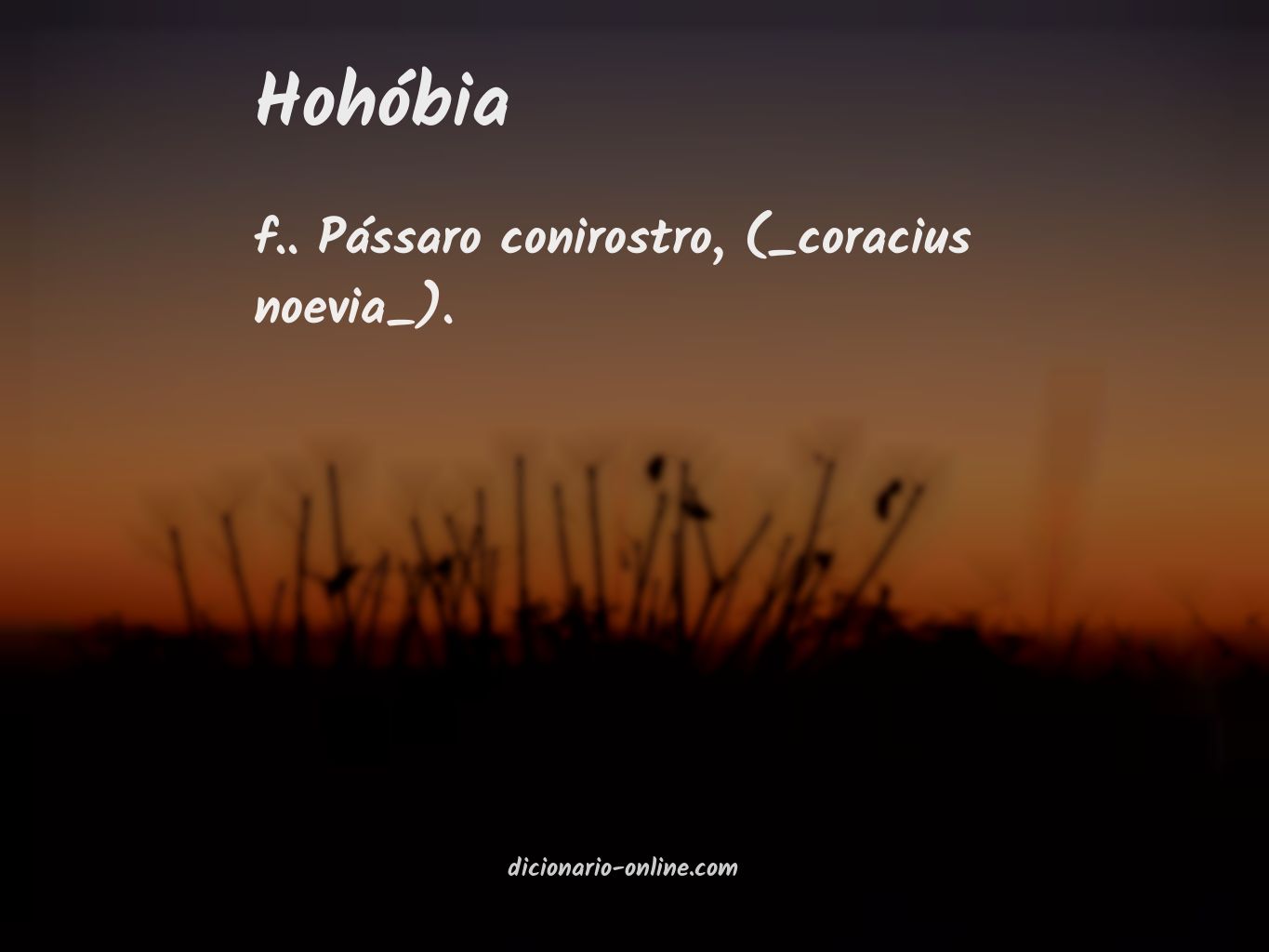 Significado de hohóbia