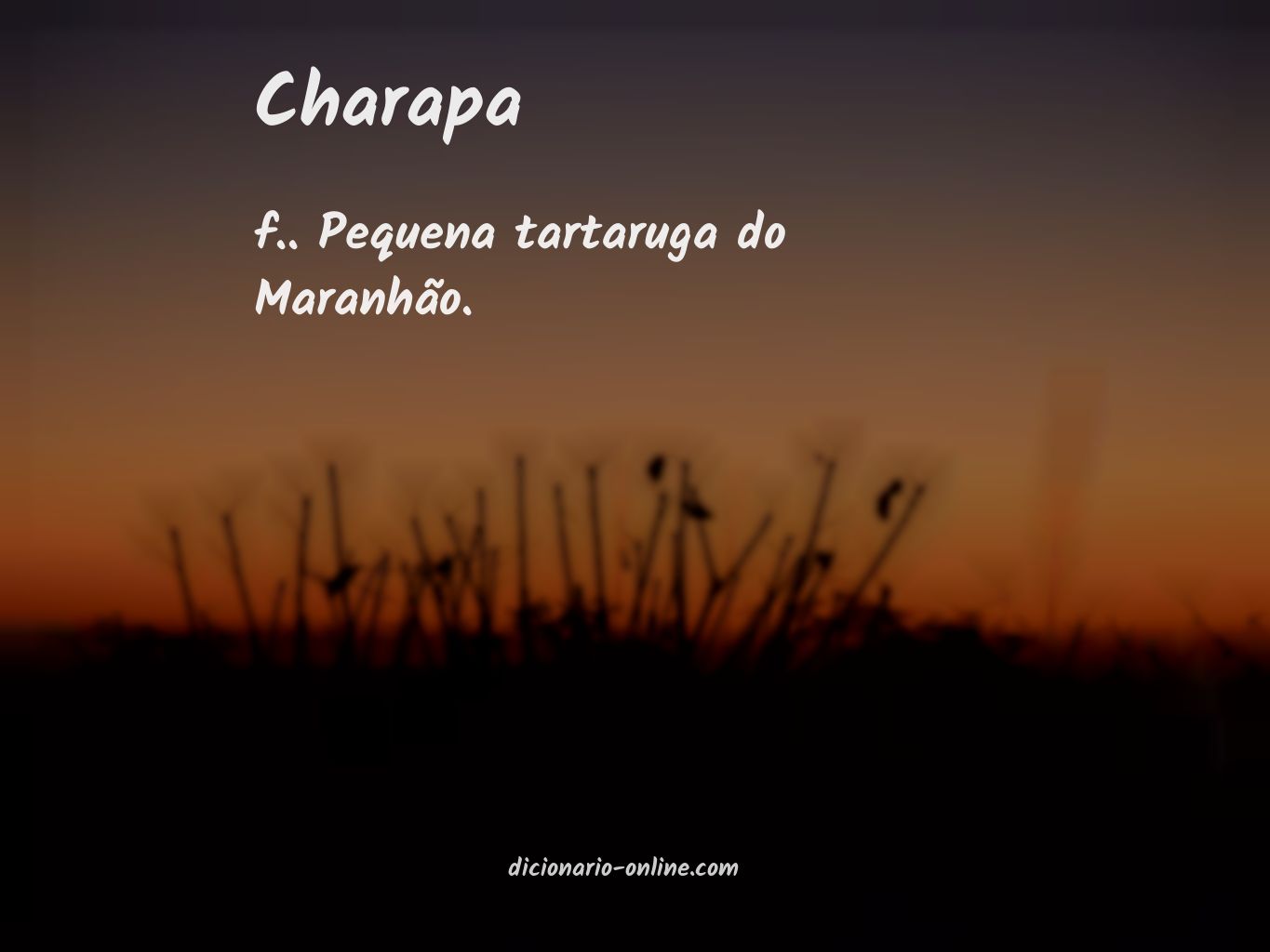 Significado de charapa