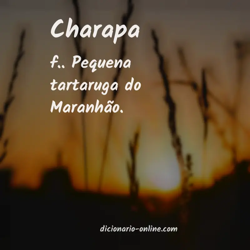 Significado de charapa